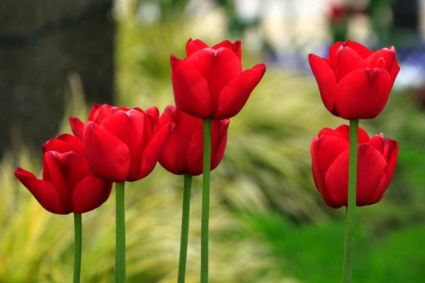 Conseils d'experts pour le maintenir la salinité de votre piscine en hiver